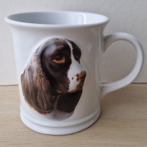 Cute springer spaniel - springer, coffee