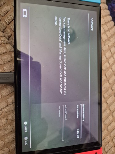 Nintendo switch oled neon - nintendo,