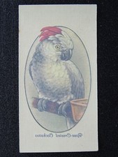 ROSE CRESTED COCKATOO Aviary & Cage Birds TRANSFERS by John Player 1933