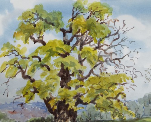 Original watercolour tree - watercolour,, 'tree