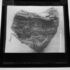 Antique Glass Magic Lantern