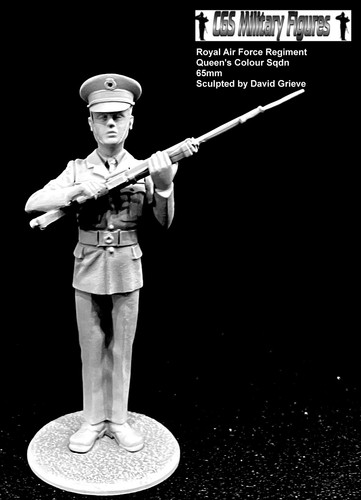 Royal air force regiment resin - force,