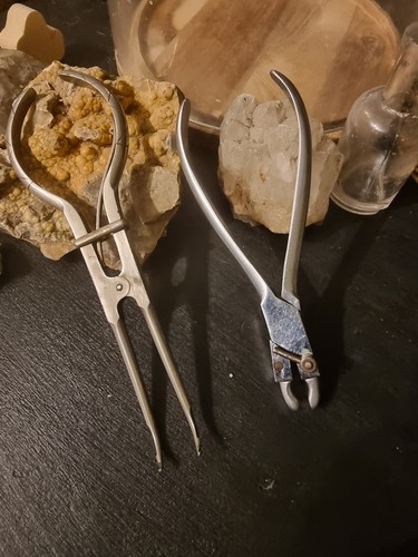 Vintage dental teeth - vintage,