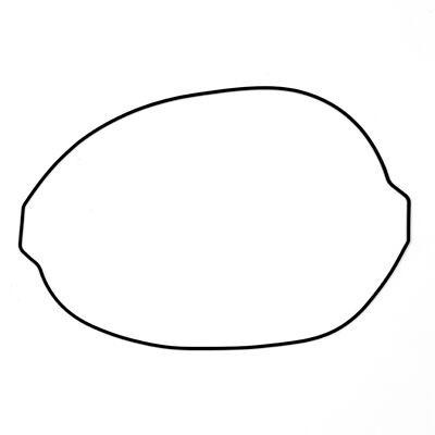 Prox clutch protector gasket - clutch,