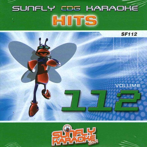 Sunfly hits karaoke disc vol - sunfly,
