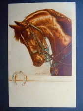 HARRY PAYNE British Charger