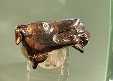 Men’s Solid Silver Dog &