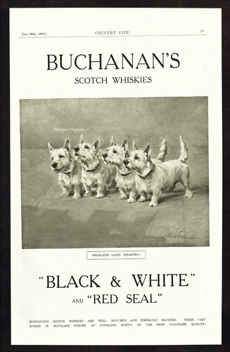 Buchanan black and - black,