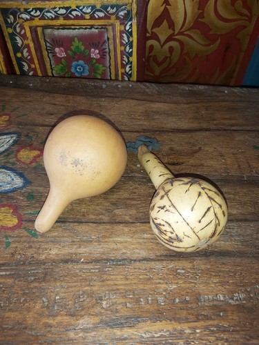 Two natural gourd - two,