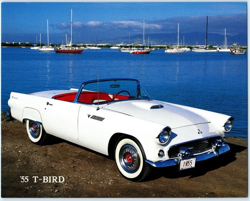 1955 ford thunderbird original - 1955,