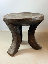 260226 - This old three-legged