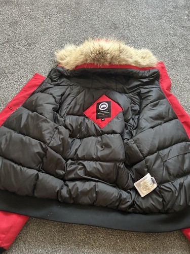 Canada goose chilliwack - chilliwack, bomber