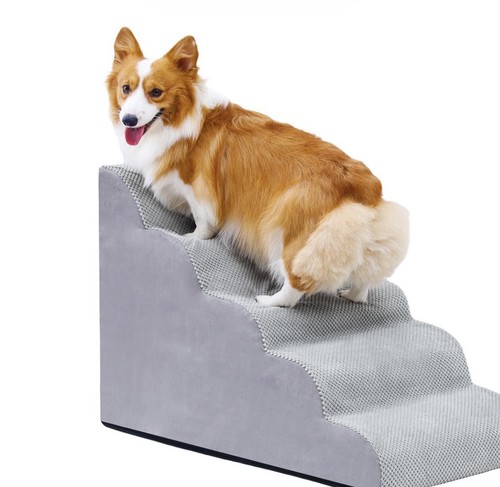 Pet steps dog - pet,