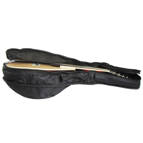 Wear resistant mandolin - mandolin, bag