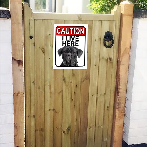 Caution live here cane - here, corso
