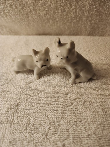 Two small white - two,