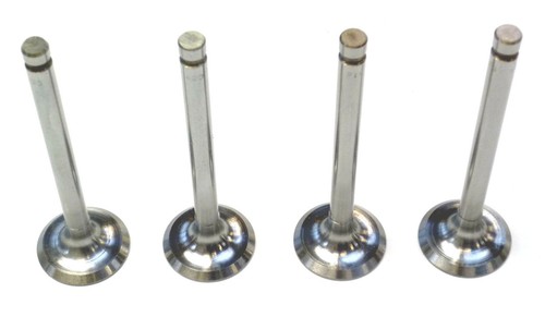 Reliant 850 inlet valve - 850,