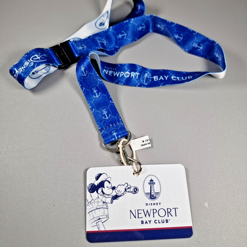 Disneyland paris pin - paris,