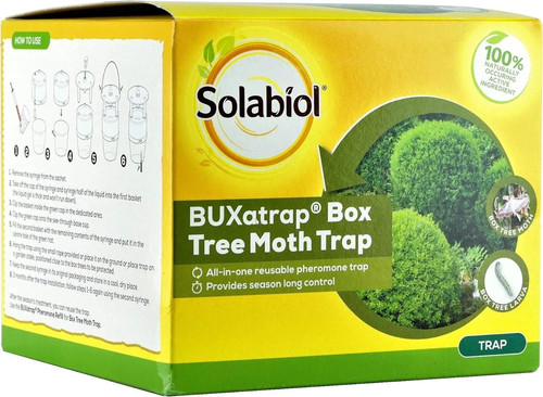 Box tree moth trap - moth,
