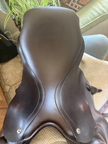Albion 17inch jump saddle - 17inch,