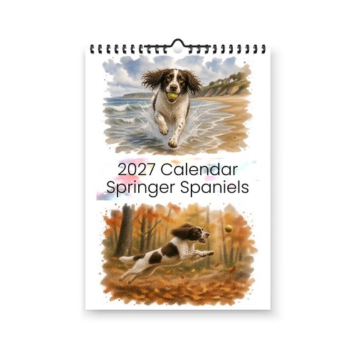 Springer spaniel 2027 - springer,