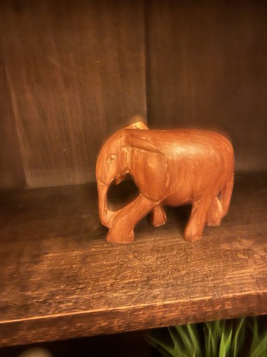 Hand carved wooden elephant - hand,