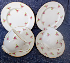 2 x Salisbury Bone China