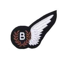 RAF Bomb Aimers Wing - WW2