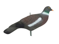 Pigeon Shell Decoy HD Painted