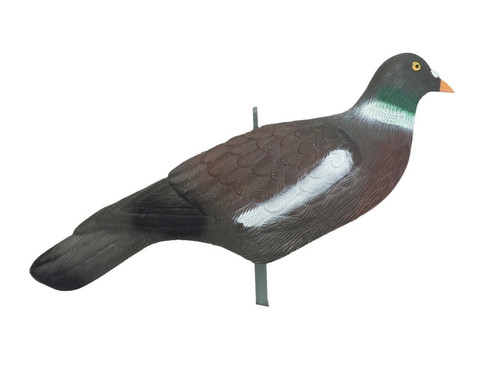 Pigeon shell decoy painted - shell,