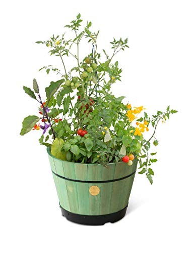 Vegtrug build barrel 18 - vegtrug, 18”