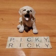Golden Labrador Puppy Yawning