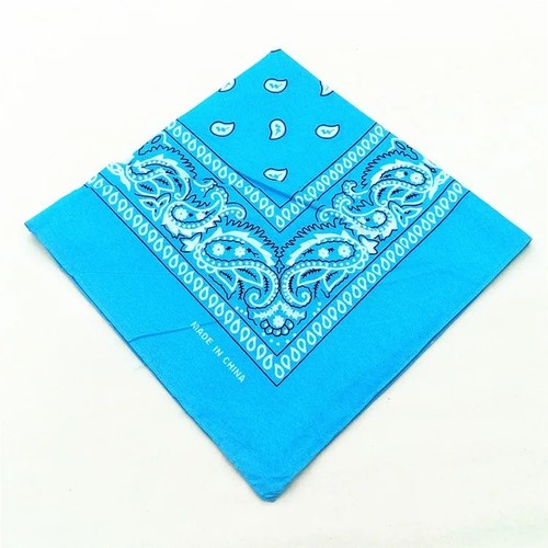 Bandana paisley neck head - bandana,