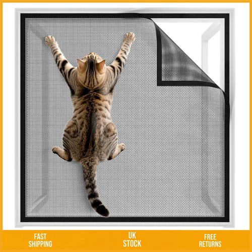 Durable scratch resistant cat - durable,