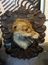 Vintage Taxidermy Snarling Fox