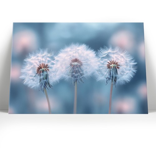 Dandelion seeds canvas wall - canvas,