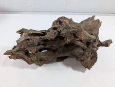 Natural Dragon Driftwood Wood