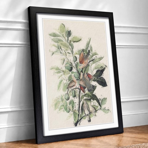Ground doves flowers bird - ground,