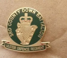 3RD COUNTY DOWN ulster defence