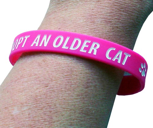 Charity wristband adopt - adopt, an