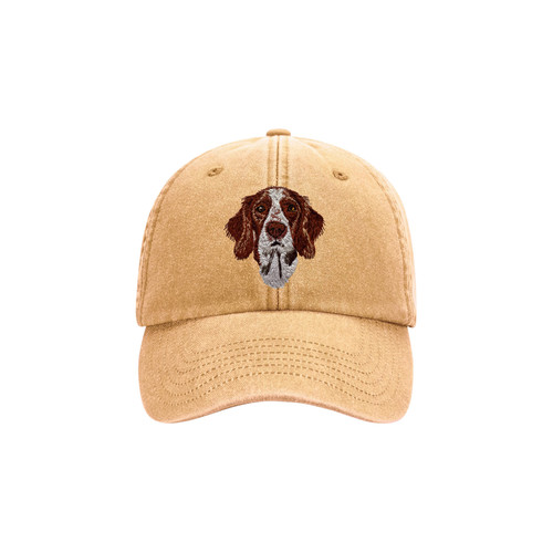 Irish red white setter - red, &