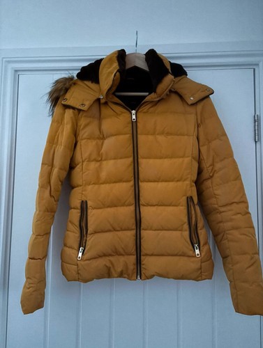 Zara basic mustard - zara,