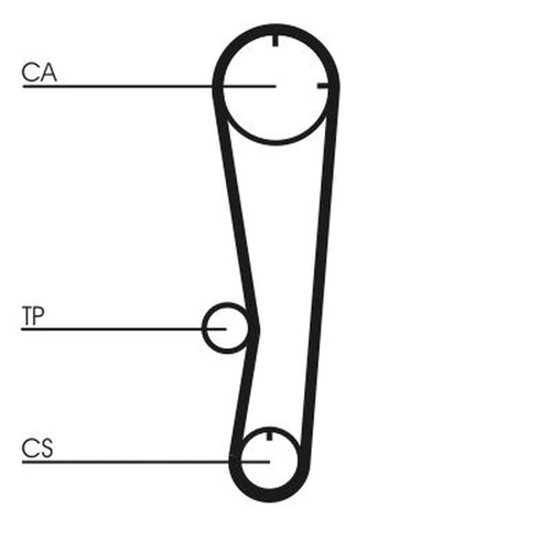 Continental ctam timing - ctam, belt