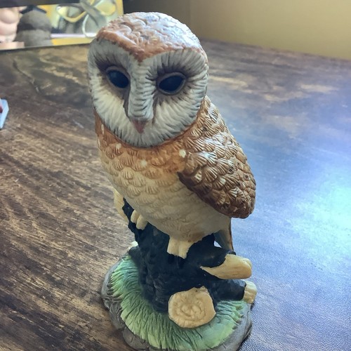 Leonardo collection owl - collection,