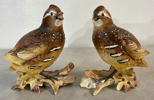 Ardco bobwhite quail - quail, pair