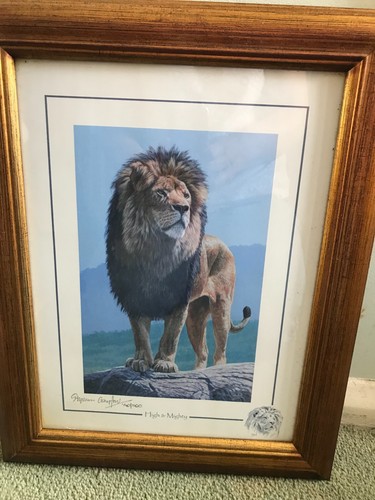 Stephen gayford signed limited - signed,