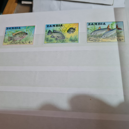 Zambia 1971 165 - zambia,