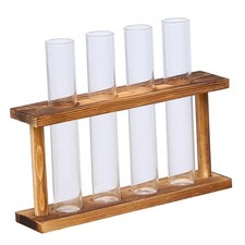 Glass test tube terrarium - test,