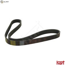 VRIBBED BELT 338 074 FOR SKODA
