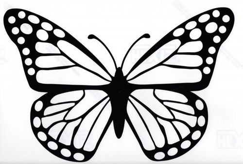 Butterflies funny stickers - , butterflies-funny
